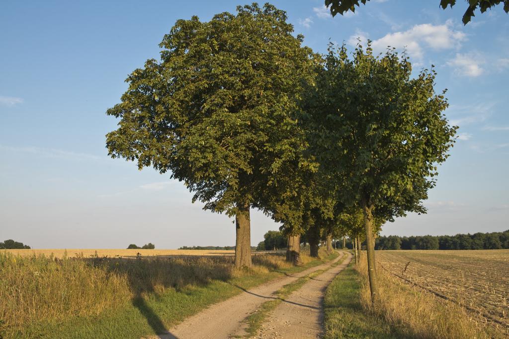 Romantik Hotel Gutshaus Ludorf Zewnętrze zdjęcie